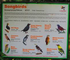 Kl bird park malaysia 2019. Kuala Lumpur Bird Park Tropical Expat