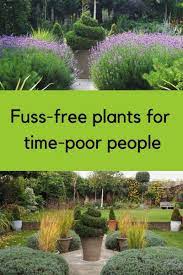 Brilliant Low Maintenance Plants For Beautiful Gardens The Middle Sized Garden Gardening Blog