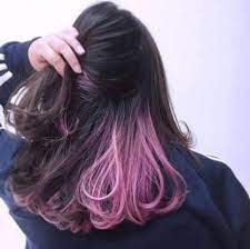 35 Ideas For Hair Ombre Colorful Pastel Hair Color Pastel Hidden Hair Color Hair Dyed Underneath