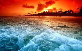 Aerial view of a young woman swimming with the donut swim ring in the clear blue sea with waves at sunset in summer. Beach Sunset And Beach Waves Wallpaper Nature And Landscape Wallpaper Better