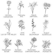 Birth Flowers For Each Month Pin By Melanie On Tattoos In 2020 Birth Flowers Birth Flower Tattoos Travel Jewellery Box
