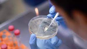 La variante delta del coronavirus, dominante en el reino unido, es 60% más contagiosa que su predecesora, la alfa, afirma un estudio publicado este viernes, antes de que… Variante Delta Del Coronavirus Es 60 Mas Contagiosa Segun Autoridades Sanitarias Britanicas Mundo Gestion