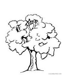 Encourage your child to stretch his creative mind and decide what color would look best for this tree. Tree Coloring Pages Free Printable Coloring4free Coloring4free Com