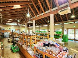 小津留湧水・水の駅おづる・海原六神社 | 観光スポット | たけ旅 take_tabi｜竹田市観光ツーリズム協会