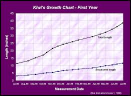 42 Unbiased Growth Chart For Kittens