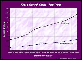 42 unbiased growth chart for kittens