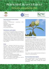 Image result for Vernonia amygdalina