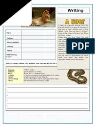 Dan silahkan anda copy dan share kepada orang lain. Writing Describing Animals Information Gap Activities Tests Writing Creative 88614 Tiger Lion
