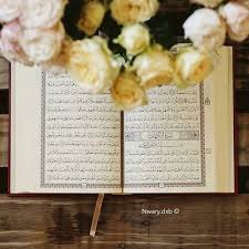 Pin By أفنان الحسني On حياة القلوب وربيعها هو القرأن Quran Book Quran Quran Wallpaper