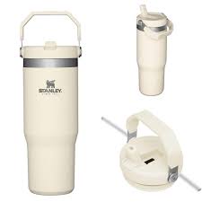 Tumblr Owala & Stanley Original, Kitchen & Appliances di Carousell