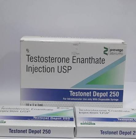 Testosterone Enanthate Injection Usp, 250 mg/ml, 250 mg at ₹ 900/vial in Nagpur