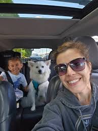 Missing tea cup chihuahua near Grocery Outlet