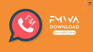 Fmwhatsapp V8 30 Apk Download Latest Version Download Application Android Settings App