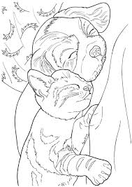 Creative Haven Lovable Cats And Dogs Coloring Book 5 Sample Pages Dog Coloring Book Dog Coloring Page Coloring Pages