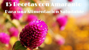 El grano de amaranto es una clase de semilla de color castaño claro. 15 Recetas Con Amaranto Para Una Alimentacion Mas Saludable Unisima Com