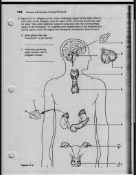 Your email address will not be published. Solved 160 Anatomy Physiology Coloring Workbook 5 Figu Chegg Com