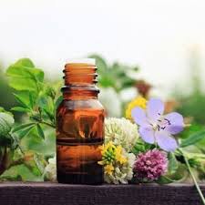 Black And Blue Cohosh To Induce Labor Safe Natural Treatments For Eczema And Psoriasis Florais De Bach E Flores