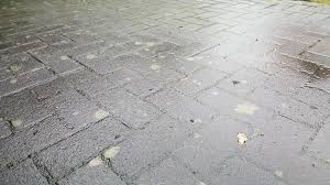 Die Terrasse Reinigen So Bleiben Holz Stein Kunststoff Schon Der Pflanzen Blog Nr 01 De In Europa