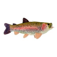 Click an image below to go to fish size page. Adore 16 Sierra Rainbow Trout Plush Stuffed Animal Walltoy Wall Mount Walmart Com Walmart Com