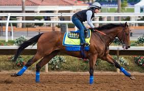 Post Time Baffert Four Deep In Breeders Cup Classic The