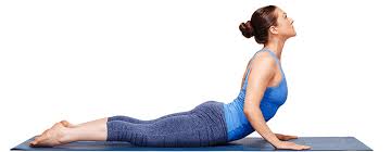 Image result for McKenzie Method