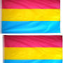 Pansexual flag from www.amazon.com