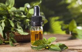 7 Health and Beauty Benefits of Peppermint Oil | Women's Health