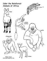 We did not find results for: Rainforest African Animals Coloring Page
