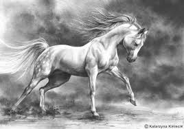 Katarzyna Kmiecik Artist And Illustrator Pa Twitter Running Horse Original Drawing Equine Art Birthday Gift Nursery Art White Horse Pencil Animal Drawing Animal Artwork Pencil Sketch Https T Co 2bi4usoppn Artprint Originalpencilart But, if you draw a horse in stages, then it is quite possible to draw it correctly even for children. running horse original drawing equine