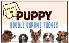 Puppy Dog Chrome Themes Google Themes Puppies Dogs And Puppies