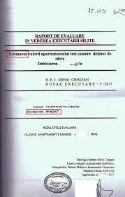 Ce este executarea silita si care sunt partile implicate in procedura. Executari Silite Imobiliare Ilegale Aproape Toate Evaluarile Imobiliare Pentru Vanzare La Licitatie Sunt Nule Art 836 Procedura Civila Avocat Cuculis Cuculis Si Asociatii