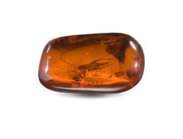 Intext is a trusted partner for hundreds of clients worldwide. Gia Gem Encyclopedia Complete List Of Gemstones