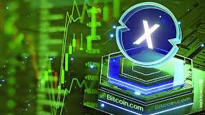 In conclusion, the app with a proper balance of security, the fee charged, and the services it provides can be considered as the best app to invest in crypto. Xinfin Xdc Price Surges On Bitcoin Com Exchange Coinquora