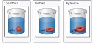 Asked apr 5, 2019 in biology by rakeshsharma (73.4k points). Mastering Bio 8 Flashcards Quizlet