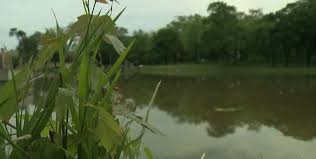 Man drowns in lagoon, another rescued; Good Samaritan says: "I'm just glad  I was here"