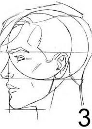 Pin On Anatomy Reference