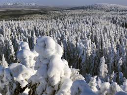 Finnish ski resort in helsinki. Ounasvaara Ski Resort In Rovaniemi In Lapland In Finland