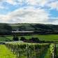 Welsh Wine Week Y Marram X Gwinllan