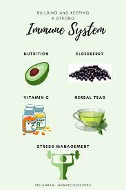 Building And Keeping A Strong Immune System One Caffeinated Mom Food For Digestion Immune System Good Health Tips