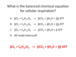 Ppt Cellular Respiration Fermentation Powerpoint Presentation Free Download Id 2561710