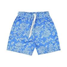 We did not find results for: Paisley Mesh Shorts In Carolina Blue