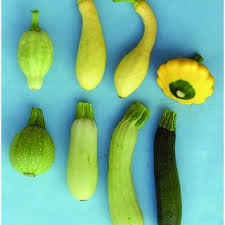 Zucchini will keep for about 3 months in the freezer, which is your best bet if you've got more squash than you can deal with in the foreseeable future. Pdf Italian Horticultural And Culinary Records Of Summer Squash Cucurbita Pepo Cucurbitaceae And Emergence Of The Zucchini In 19th Century Milan