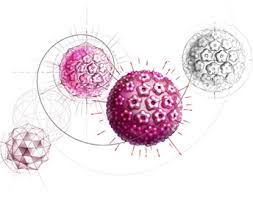Resultado de imagem para cancer de boca e hpv