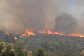 Location, size, and extent topography climate flora and fauna environment population migration ethnic groups languages religions. Lj97gcfiks 9sm