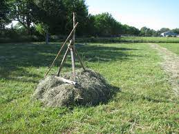 To Build A Haystack – The School Of The Transfer Of Energy