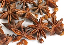 Seingat saya itu lah dia (gambar) pokok buah pelaga yang telah saya tahu/ingat semasa umur saya 11/12 tahun,kini umur saya 52 tahun. Nama Saintifik Bunga Lawang Bunga Lawang Dipercaya Dapat Mengobati Flu Karena Kandungan Asam Shikimatnya Hatreissh