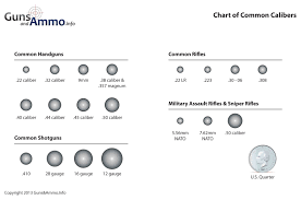 Diagram Of Common Bullet Sizes Hand Guns Guns Ammo Guns