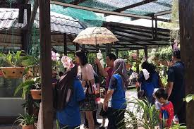 Beatrice tan jan 12th, 2018 the southeast asian country of malaysia is so much more than just its iconic petronas twin towers, genting highlands or theme parks like legoland and sunway. Tamantumbinabintulu Hashtag On Twitter