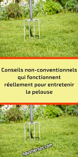 Conseils Non Conventionnels Qui Fonctionnent Reellement Pour Entretenir La Pelouse En 2020 Pelouse Urine De Chien Brin D Herbe