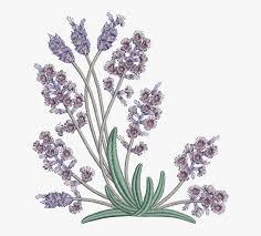 1703 flower vectors & graphics to download flower 1703. Embroidery Pattern Lavender Flowers Png Download Flower Embroidery Designs Lavender Transparent Png Transparent Png Image Pngitem